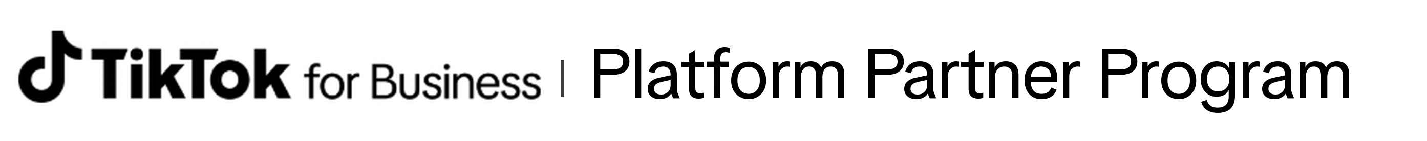 TikTok API Partner Portal